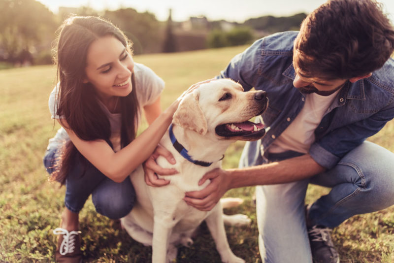 Beautiful romantic couple is having fun with their dog labrador retriever outdoors on a green grass.
