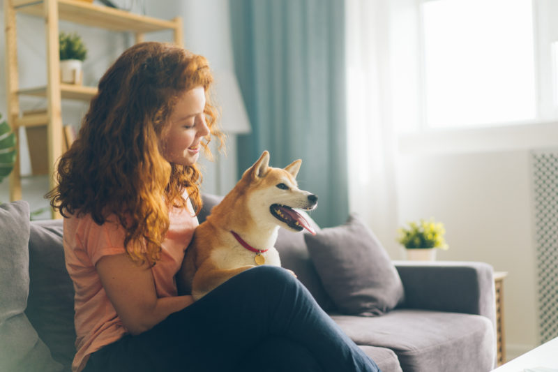 Pretty redhead woman is hugging cute doggy sitting on couch in apartment smiling enjoying beautiful day with beloved animal. People and pets concept.